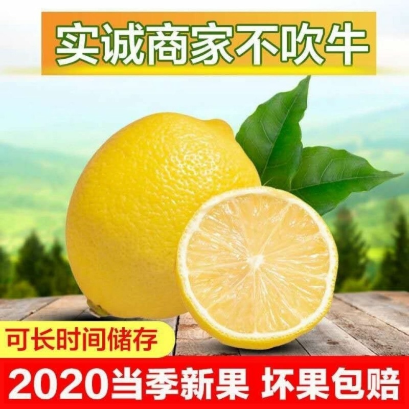 四川安岳黄柠檬新鲜柠檬果子薄皮奶茶餐饮店批发多一件也包邮