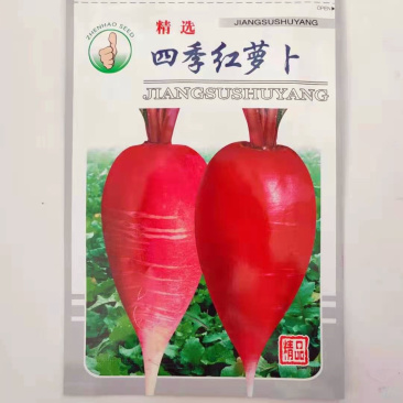 萝卜种子四季红高产抗病耐热耐抽苔耐贮运甜脆多汁