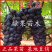 早夏无核葡萄苗特早熟葡萄早夏黑包纯度嫁接苗