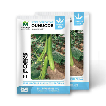 中科茂华蔬菜瓜果种子奶油黄瓜种子杂交一代全雌系节节有瓜