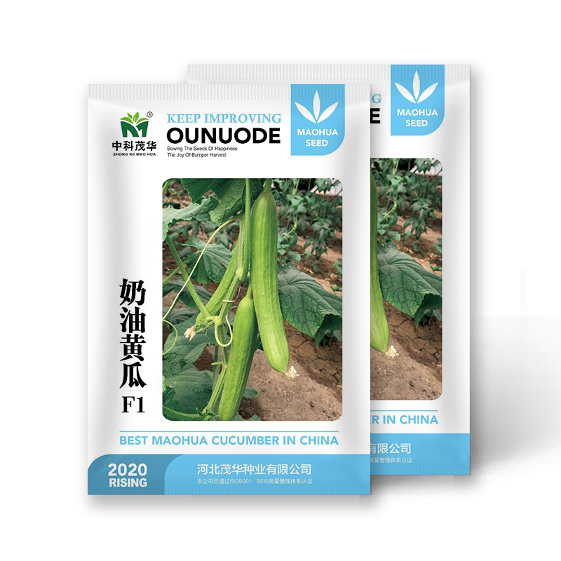 中科茂华蔬菜瓜果种子奶油黄瓜种子杂交一代全雌系节节有瓜