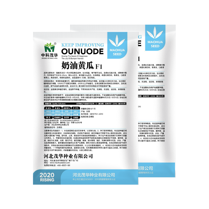 中科茂华蔬菜瓜果种子奶油黄瓜种子杂交一代全雌系节节有瓜