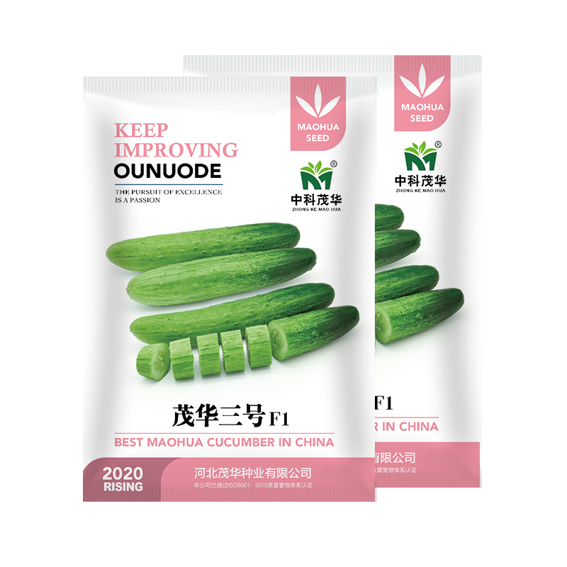 中科茂华黄瓜种子茂华三号旱黄瓜种子节节有瓜易管理高产
