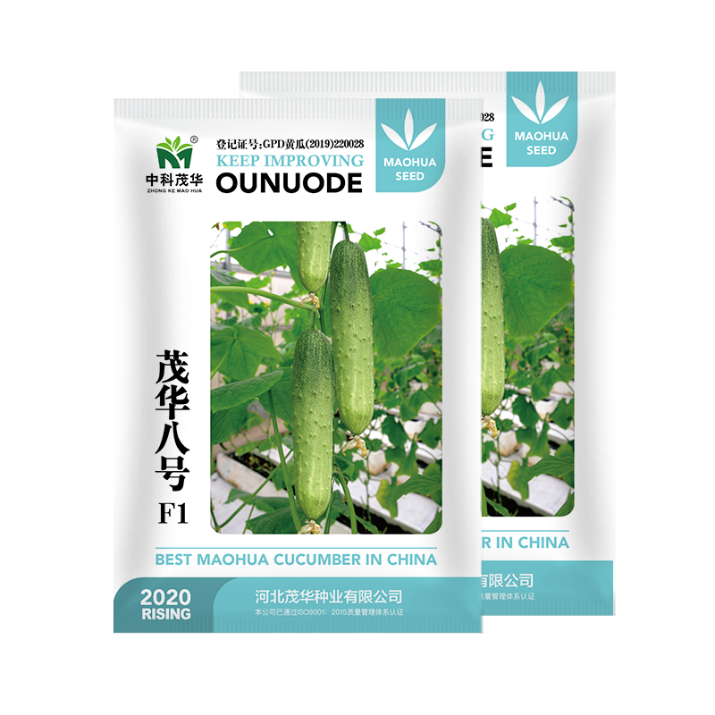 中科茂华黄瓜种子茂华八号旱黄瓜种子无苦味全雌系节节有瓜
