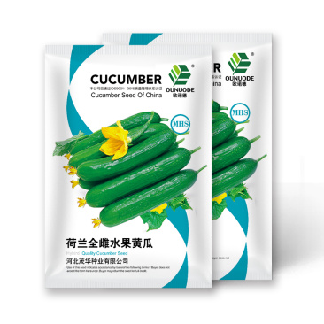 中科茂华蔬菜种子无刺全雌水果黄瓜种子一叶一瓜果肉淡绿