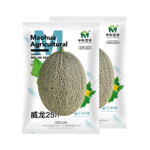 中科茂华瓜果种子威龙25号厚皮甜瓜种子网纹细密果肉橘黄