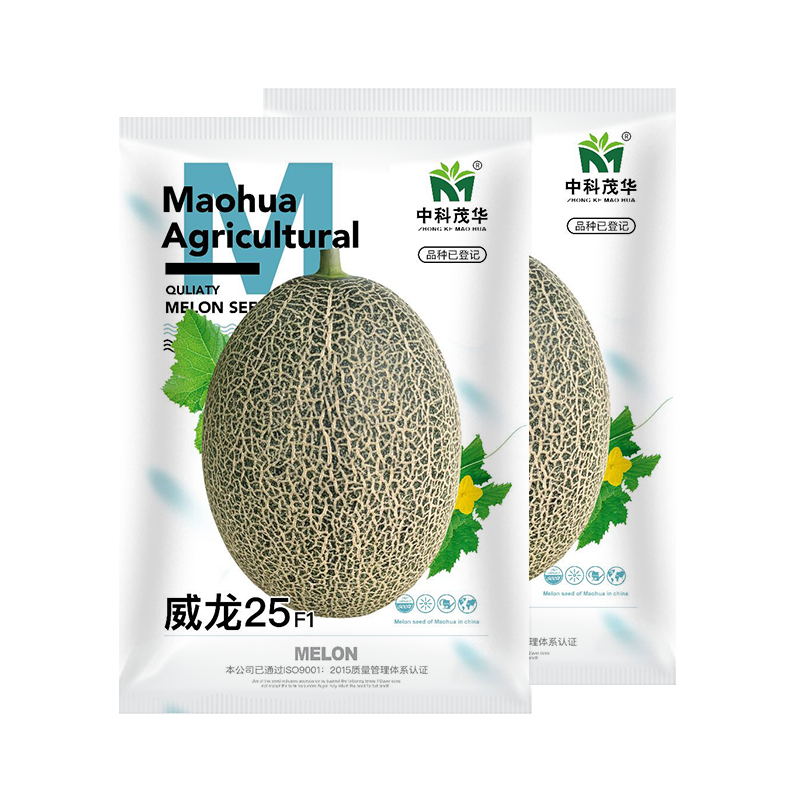中科茂华瓜果种子威龙25号厚皮甜瓜种子网纹细密果肉橘黄