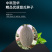 中科茂华瓜果种子威龙25号厚皮甜瓜种子网纹细密果肉橘黄