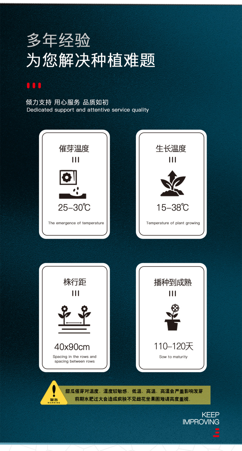 中科茂华瓜果种子威龙25号厚皮甜瓜种子网纹细密果肉橘黄