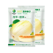 中科茂华瓜果种子茂华甜美甜瓜种子椭圆带绿黄润绿润白肉红瓤