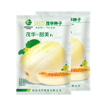 中科茂华瓜果种子茂华甜美甜瓜种子椭圆带绿黄润绿润白肉红瓤