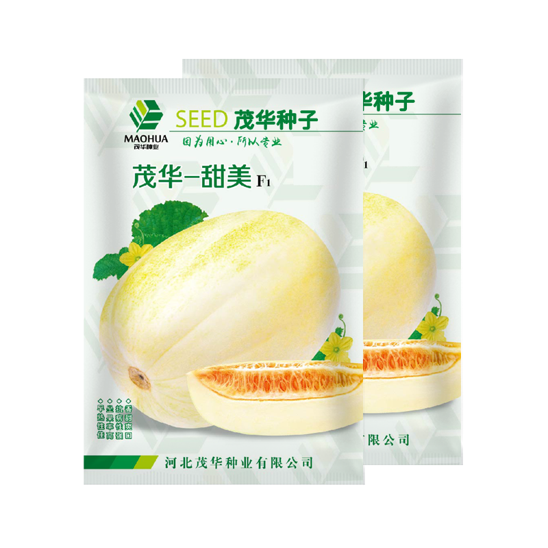 中科茂华瓜果种子茂华甜美甜瓜种子椭圆带绿黄润绿润白肉红瓤