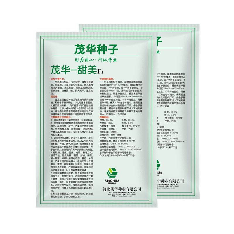 中科茂华瓜果种子茂华甜美甜瓜种子椭圆带绿黄润绿润白肉红瓤
