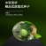 中科茂华蔬菜瓜果种子绿翠玉杂交绿皮绿肉绿瓤甜瓜种子
