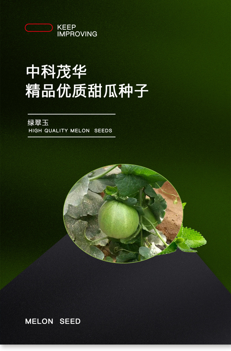 中科茂华蔬菜瓜果种子绿翠玉杂交绿皮绿肉绿瓤甜瓜种子