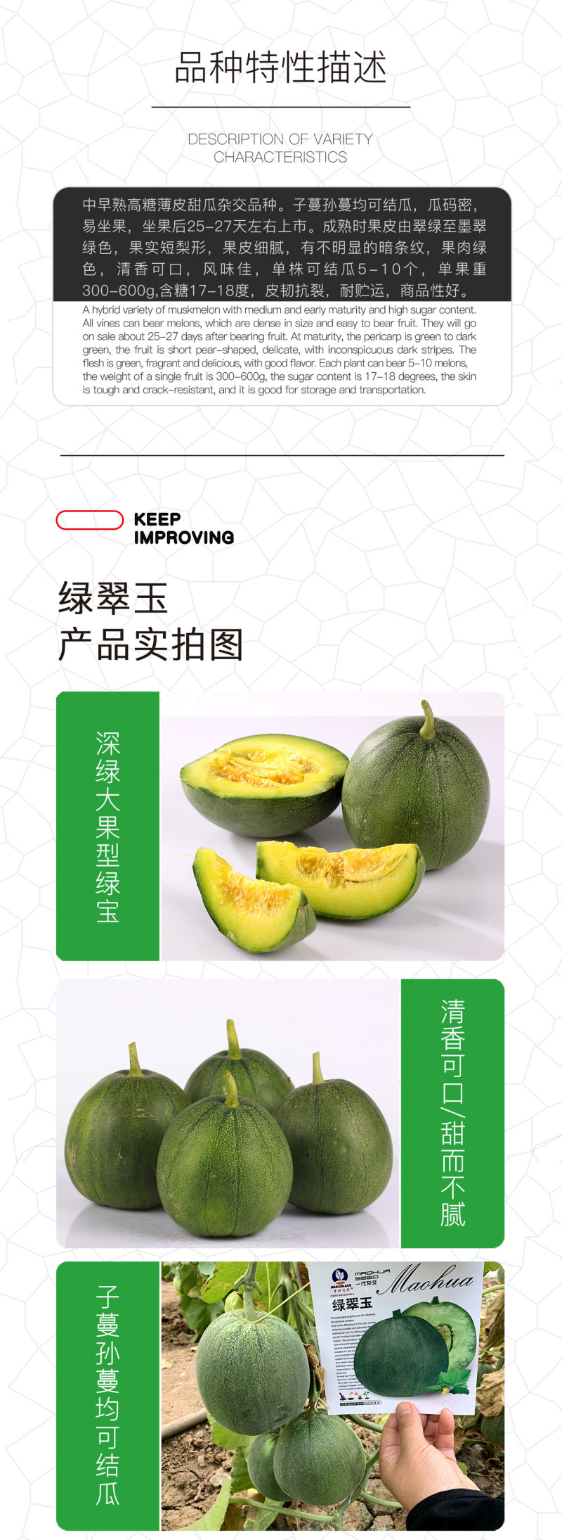 中科茂华蔬菜瓜果种子绿翠玉杂交绿皮绿肉绿瓤甜瓜种子