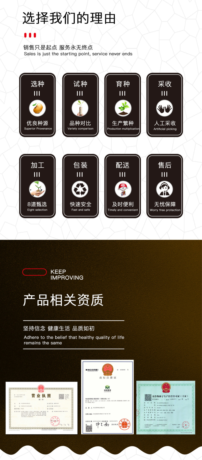 中科茂华蔬菜瓜果种子绿翠玉杂交绿皮绿肉绿瓤甜瓜种子