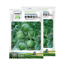 中科茂华瓜果种子杂交老牌绿宝石甜瓜种子皮肉瓤绿色高糖