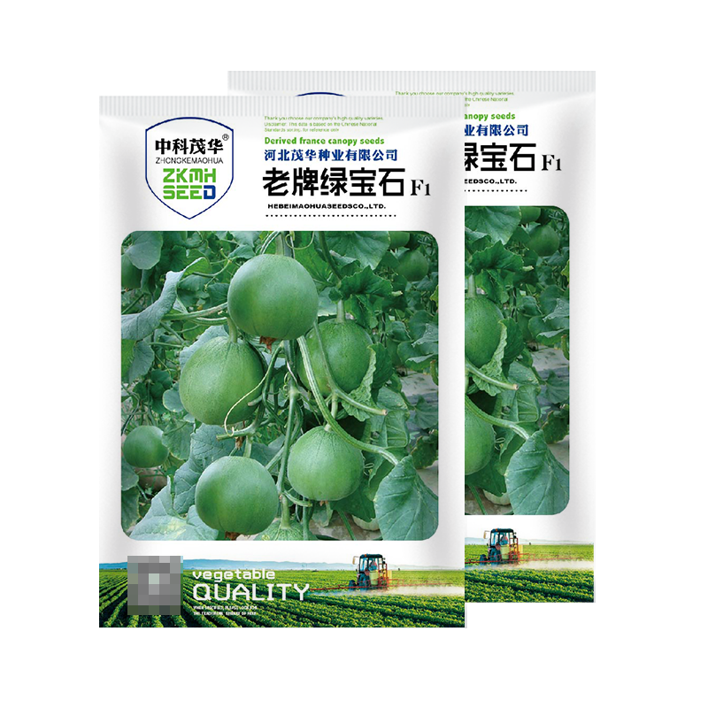 中科茂华瓜果种子杂交老牌绿宝石甜瓜种子皮肉瓤绿色高糖
