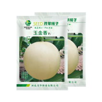 中科茂华瓜果种子玉金香杂交厚皮甜瓜种子肉厚甜多汁
