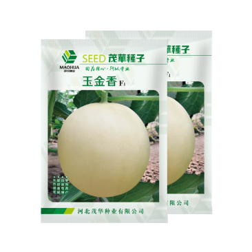 中科茂华瓜果种子玉金香杂交厚皮甜瓜种子肉厚甜多汁