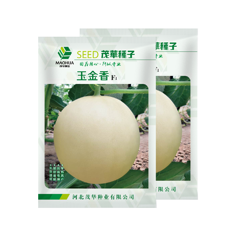 中科茂华瓜果种子玉金香杂交厚皮甜瓜种子肉厚甜多汁