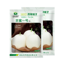 中科茂华瓜果蔬菜种子京蜜一号白皮白肉甜瓜种子皮薄肉厚