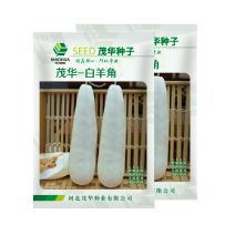 中科茂华水果蔬菜种子茂华白羊角甜瓜种子纯白皮羊角脆香