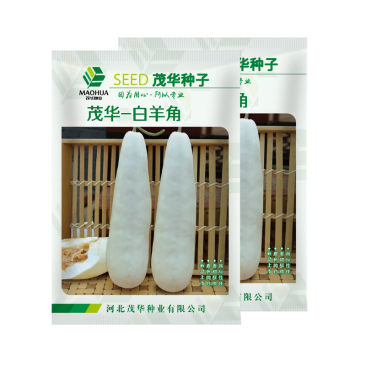 中科茂华水果蔬菜种子茂华白羊角甜瓜种子纯白皮羊角脆香
