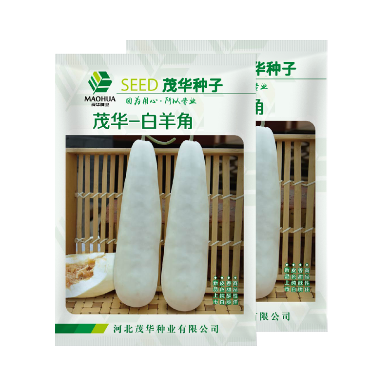 中科茂华水果蔬菜种子茂华白羊角甜瓜种子纯白皮羊角脆香