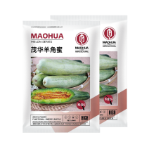 中科茂华瓜果种子香酥羊角脆甜瓜种子羊角蜜酥脆香瓜種子