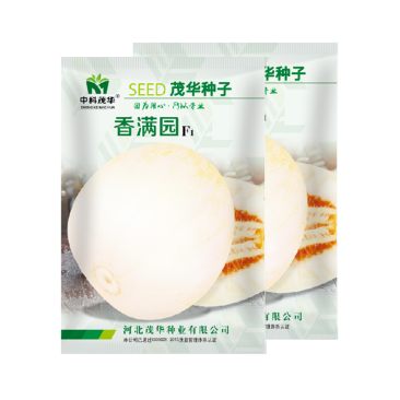 中科茂华瓜果种子杂交一代香满园白皮带黄润甜瓜种子