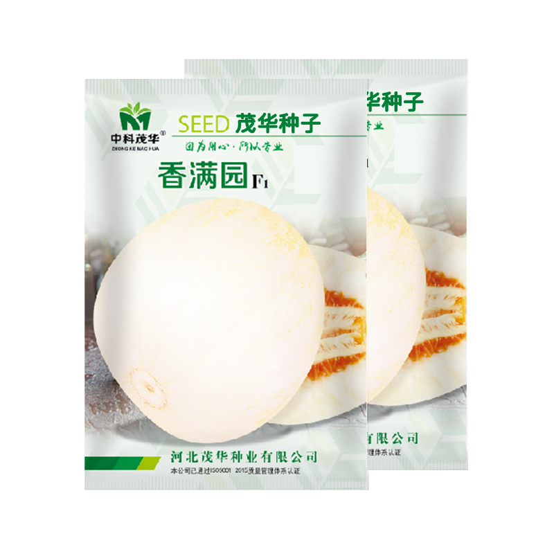 中科茂华瓜果种子杂交一代香满园白皮带黄润甜瓜种子