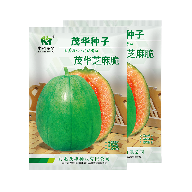 中科茂华瓜果种子茂华芝麻脆甜瓜种子绿皮红肉少籽