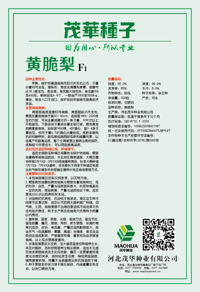 中科茂华水果种子杂交黄脆梨黄皮白肉甜瓜种子星甜20种子
