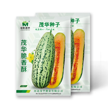 中科茂华瓜果种子脆香酥甜瓜种子花皮牛角蜜小蜜蜂香瓜種子橘