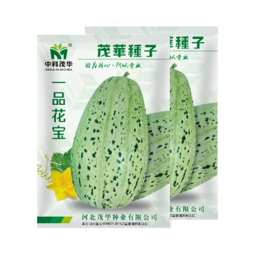 中科茂华瓜果种子一品花宝甜瓜种子花皮绿肉绿瓤早熟性