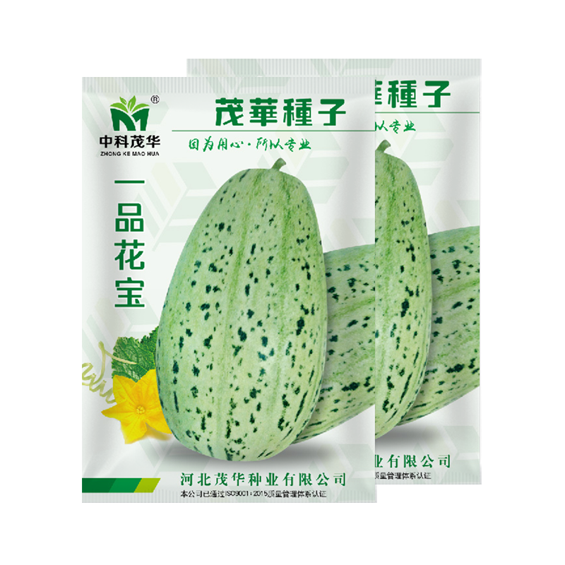 中科茂华瓜果种子一品花宝甜瓜种子花皮绿肉绿瓤早熟性