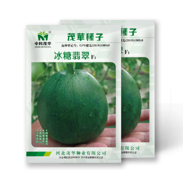 中科茂华瓜果种子杂交冰糖翡翠绿皮绿肉绿宝石甜瓜种子深绿色