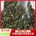 菹草石芽种籽虾草麦黄草种子小龙虾养殖耐低温水草沉水植物增