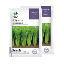 中科茂华蔬菜种子优速小白菜种子四季种植无绒毛小青菜种子