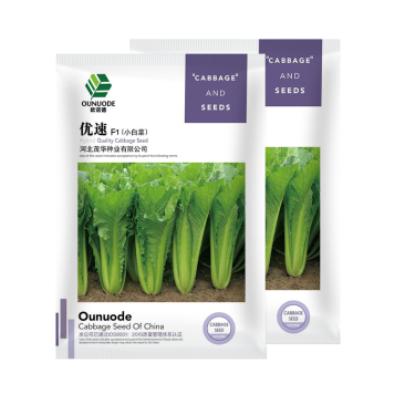 中科茂华蔬菜种子优速小白菜种子四季种植无绒毛小青菜种子