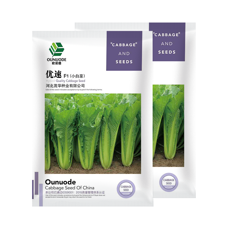中科茂华蔬菜种子优速小白菜种子四季种植无绒毛小青菜种子