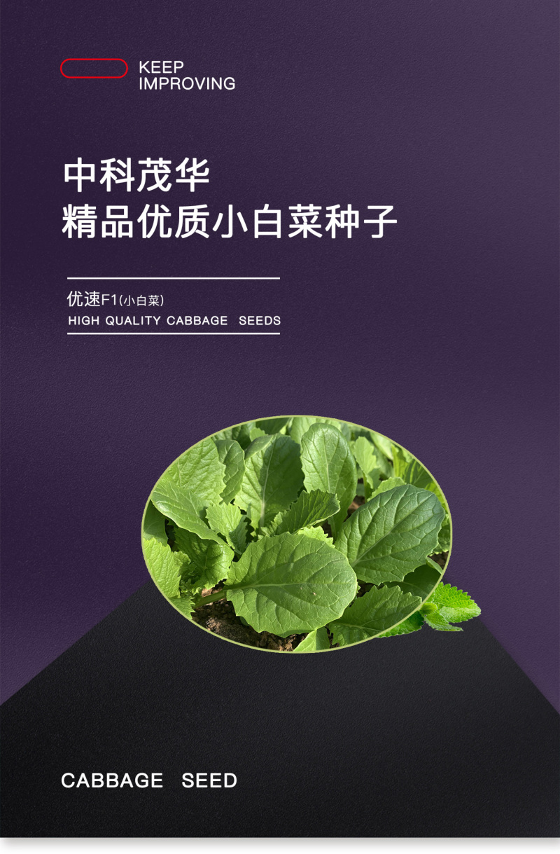 中科茂华蔬菜种子优速小白菜种子四季种植无绒毛小青菜种子