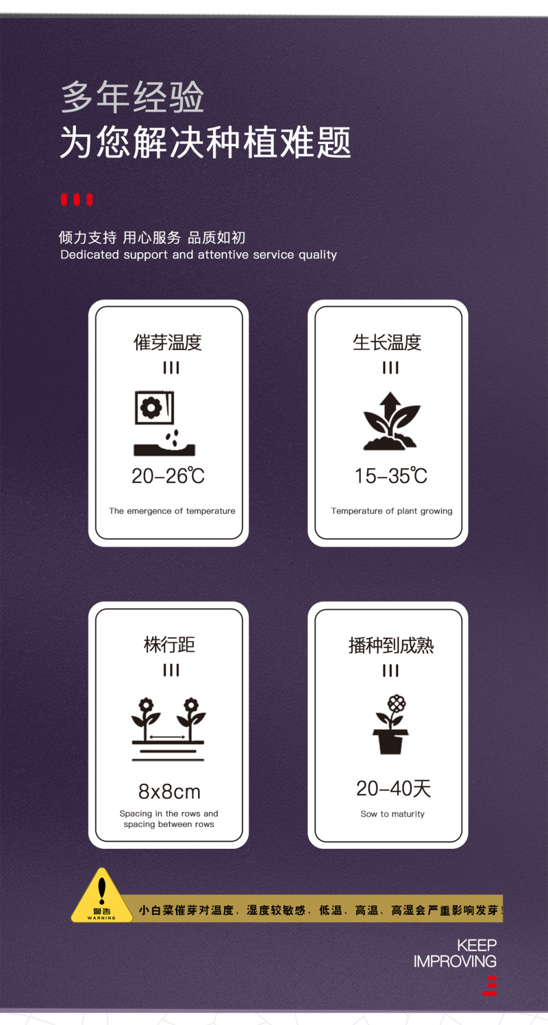 中科茂华蔬菜种子优速小白菜种子四季种植无绒毛小青菜种子