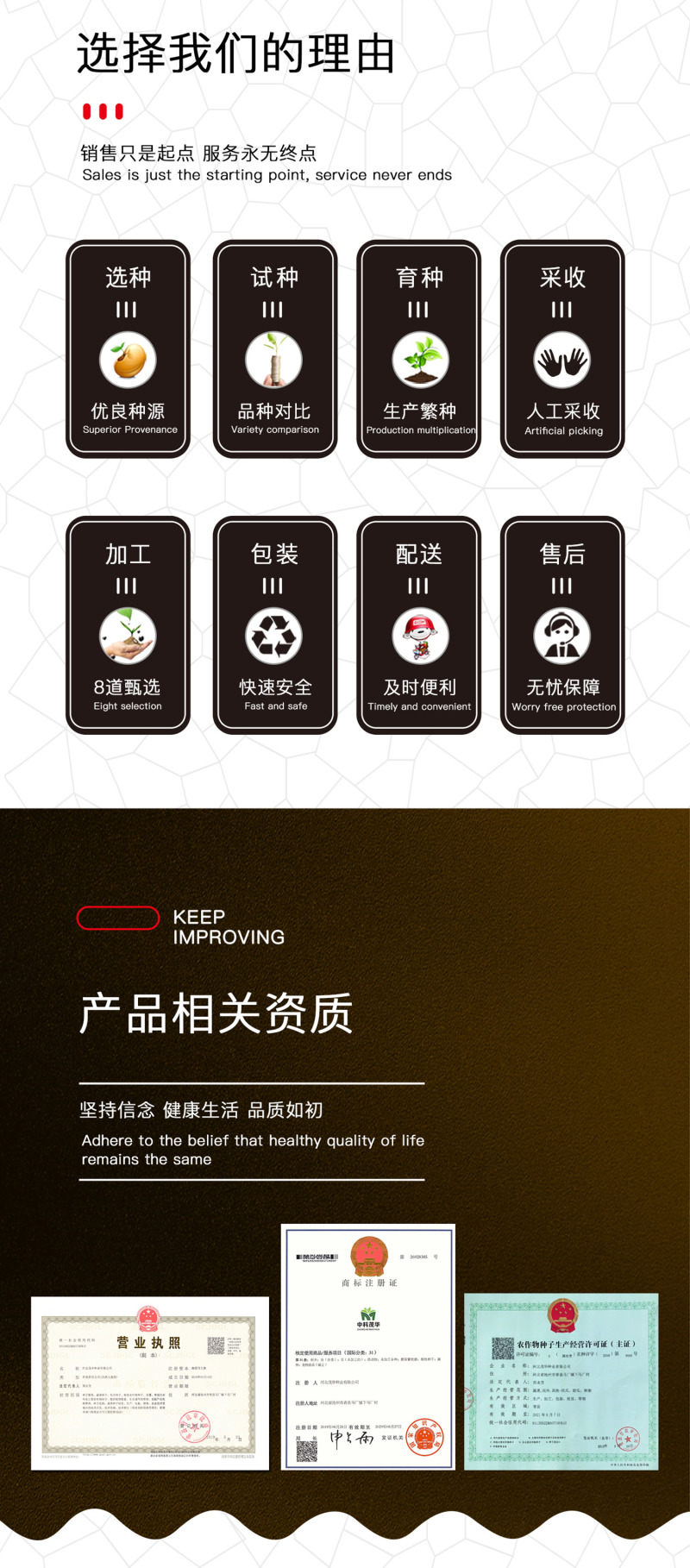 中科茂华蔬菜种子优速小白菜种子四季种植无绒毛小青菜种子