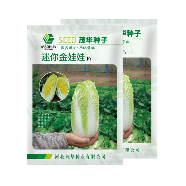 中科茂华蔬菜种子迷你金娃娃黄芯白菜无筋无纤维高品质生长快