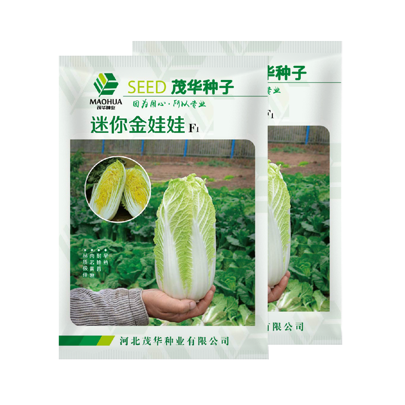 中科茂华蔬菜种子迷你金娃娃黄芯白菜无筋无纤维高品质生长快