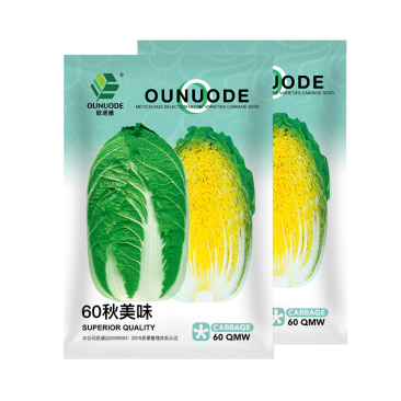 中科茂华蔬菜种子60秋美味白菜种子早熟高品质