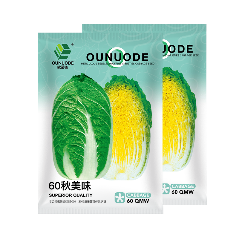 中科茂华蔬菜种子60秋美味白菜种子早熟高品质